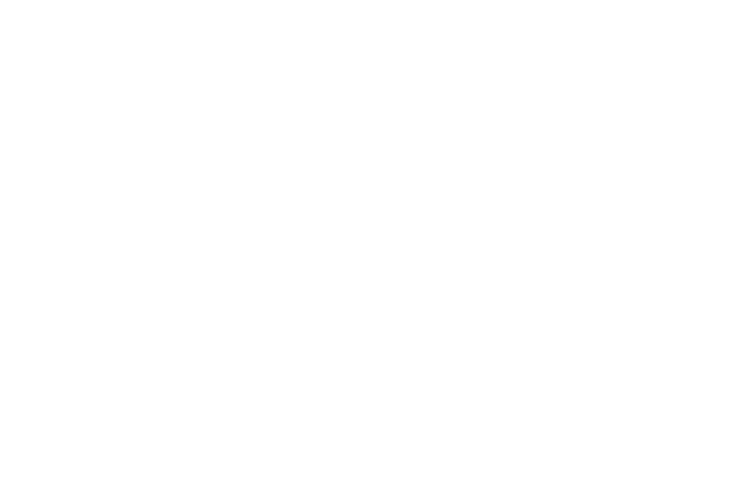Top-3PL